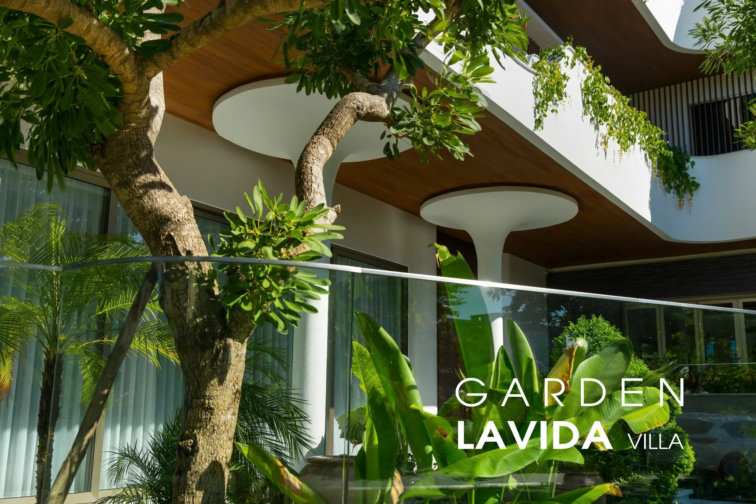 LAVIDA VILLA lvd 9